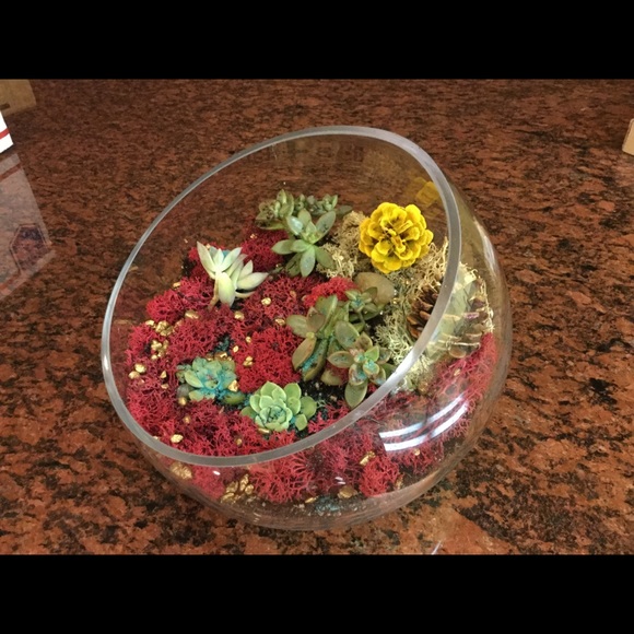 Meet the posher - Picture 8 of 8